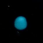 Нептун в наземный телескоп